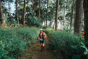 BIB: 
                            <button type="button" onclick="openModal(25659315)" class="btn btn-primary btn-sm float-right btn-popup" data-toggle="modal" data-target=".modal-high-quality">
                        <i class="fas fa-shopping-cart"></i> Add to Cart
                    </button>
                                            <button type="button" onclick="isThisMe(25659315, true)" class="btn btn-success btn-sm float-right btn-popup btn-isme hidden" data-toggle="tooltip" data-placement="bottom" title="นี่คือรูปของคุณใช่ไหม คลิกที่นี่เพื่อเอาเข้าอัลบั้ม">
                        <i class="fas fa-plus"></i> Add to album
                    </button>
                    <button type="button" onclick="isThisMe(25659315, false)" class="btn btn-warning btn-sm float-right btn-popup btn-isnotme hidden">
                        <i class="fas fa-ban"></i> Remove from album
                    </button>